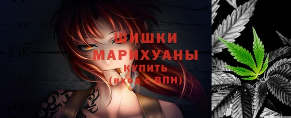 спайс Каменка