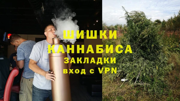 спайс Каменка