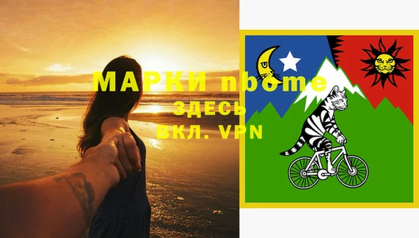 спайс Каменка