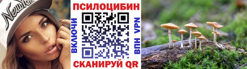 Купить закладки  Кировград  Галлюциногенные грибы MAGIC MUSHROOMS 